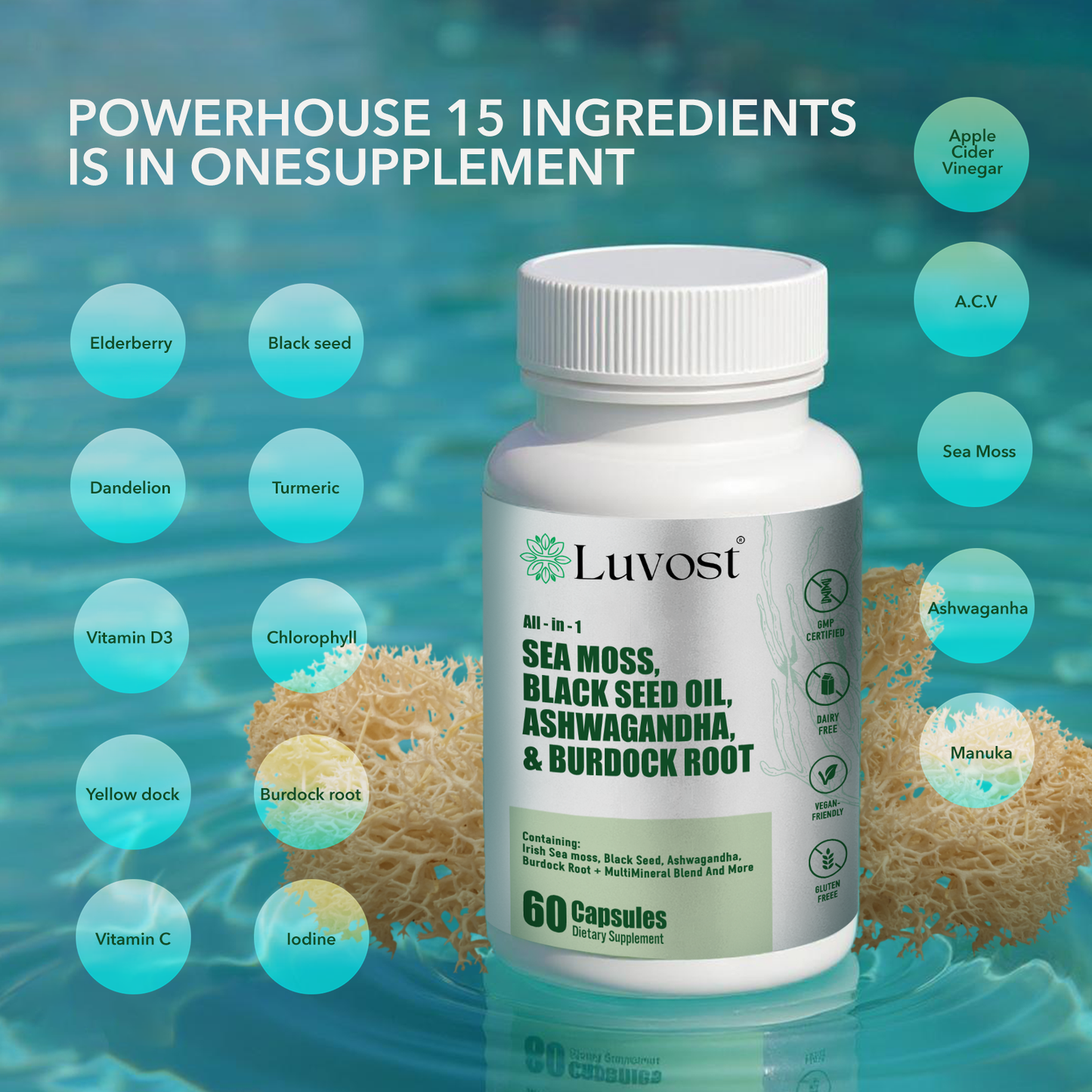 Luvost MultiMineral™ Sea Moss Black Seed