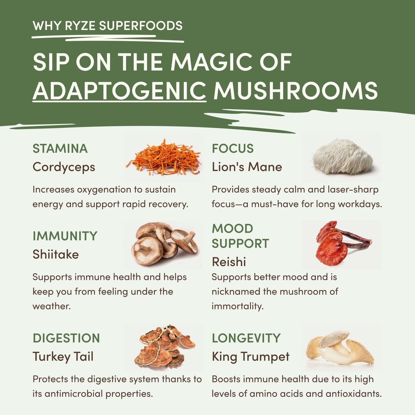 Pyke Superfood Mushroom Matcha (30 Servings)