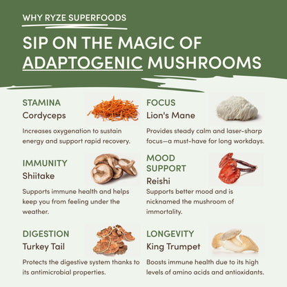 Pyke Superfood Mushroom Matcha (30 Servings)